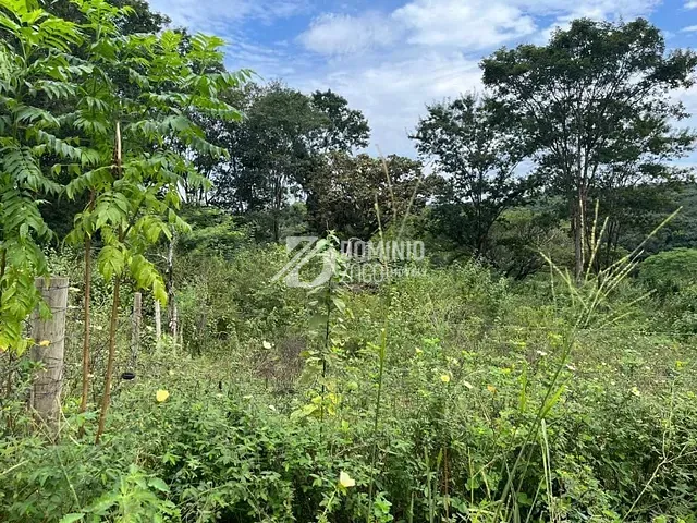 Terreno com 2504m², à venda, no bairro Fabrício em Uberaba