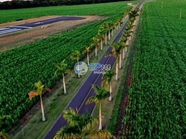 Terreno com 1177m², à venda, no bairro Paranagi em Sertaneja