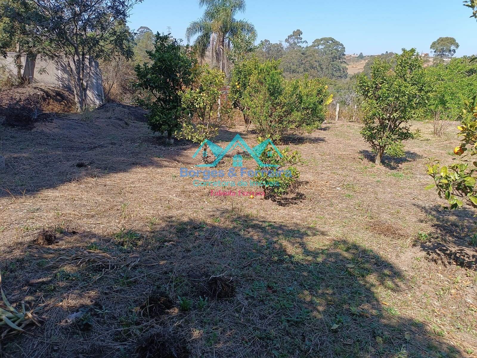 Terreno, 1660 m² - Foto 9