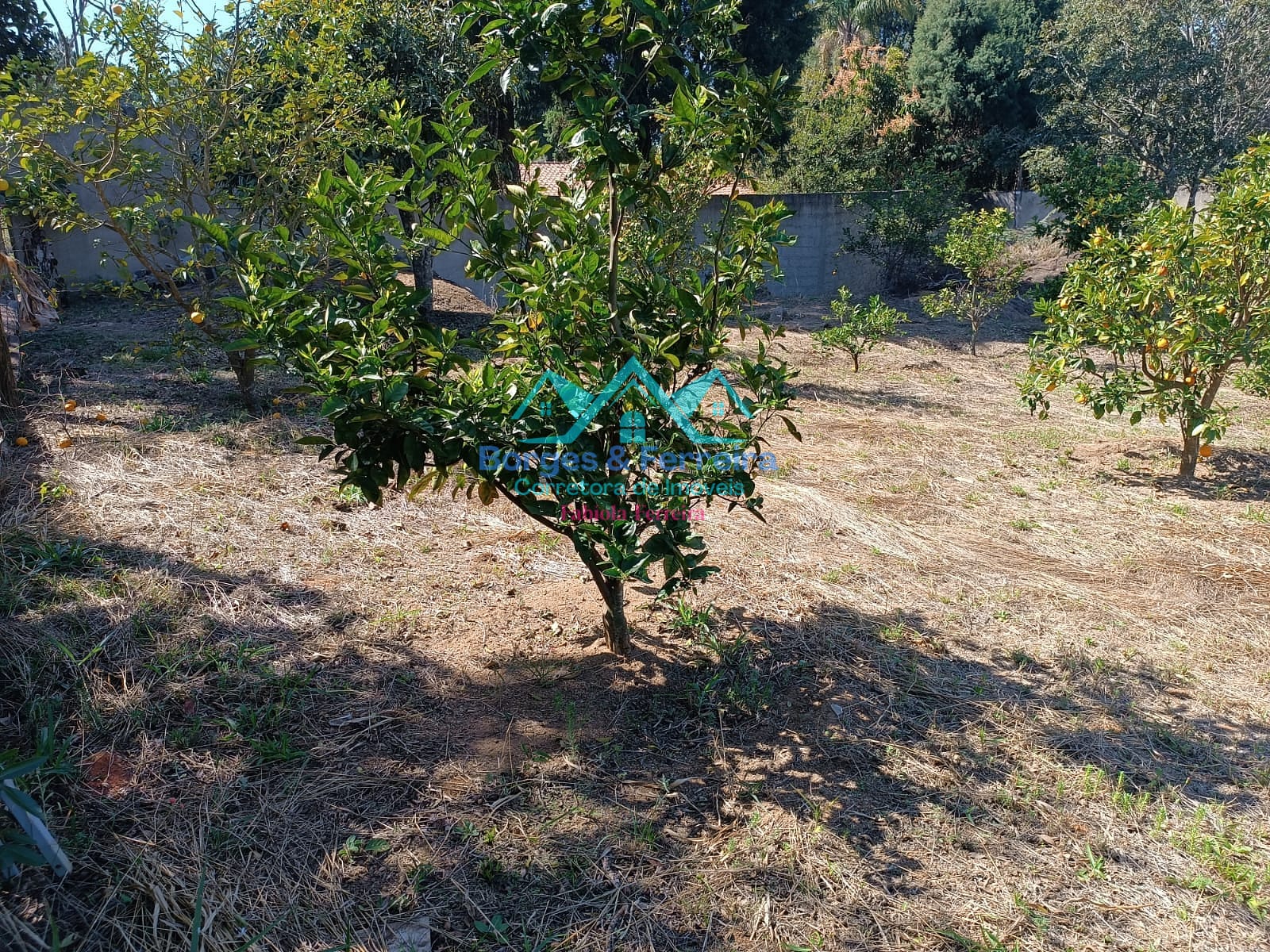 Terreno, 1660 m² - Foto 21