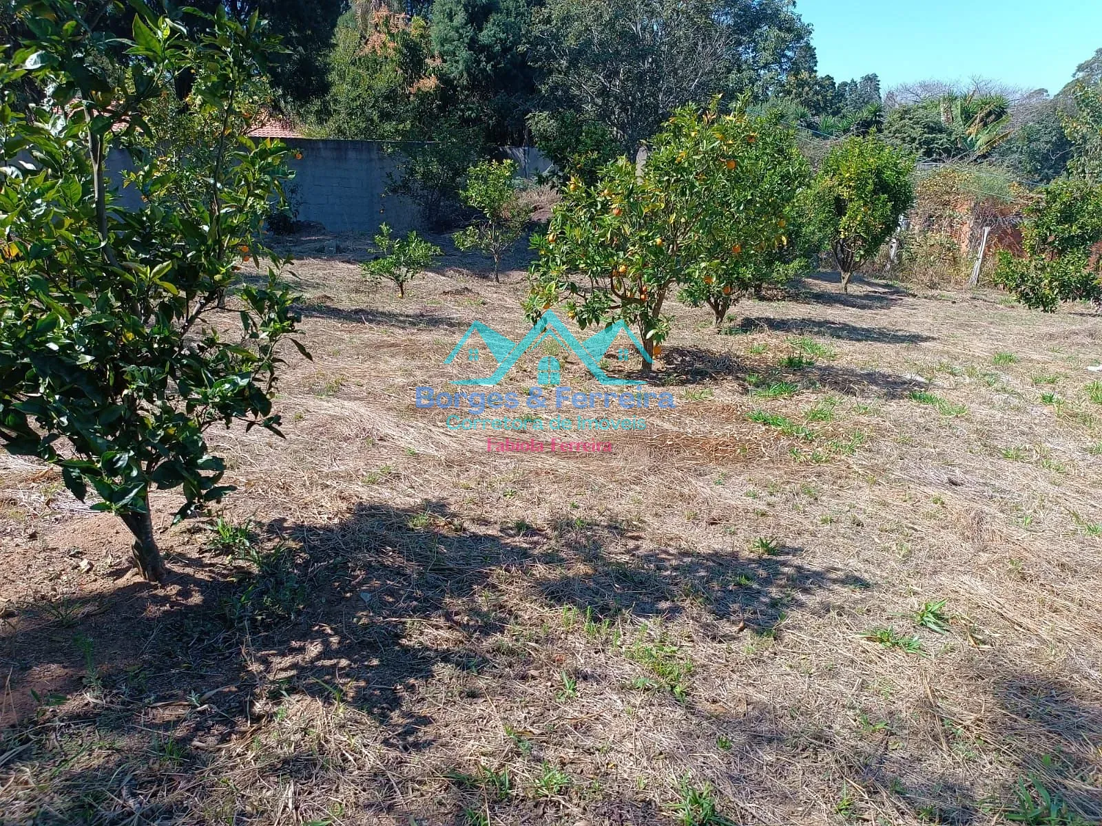 Terreno, 1660 m² - Foto 6