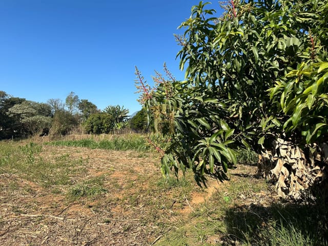Terreno com 2386m² 4 quartos e 5 banheiros, à venda, no bairro PORTAL DE PIRAPORA em SALTO DE PIRAPORA