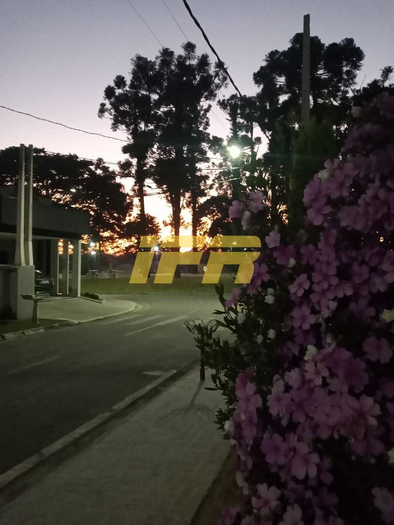 Terreno, 300 m² - Foto 12