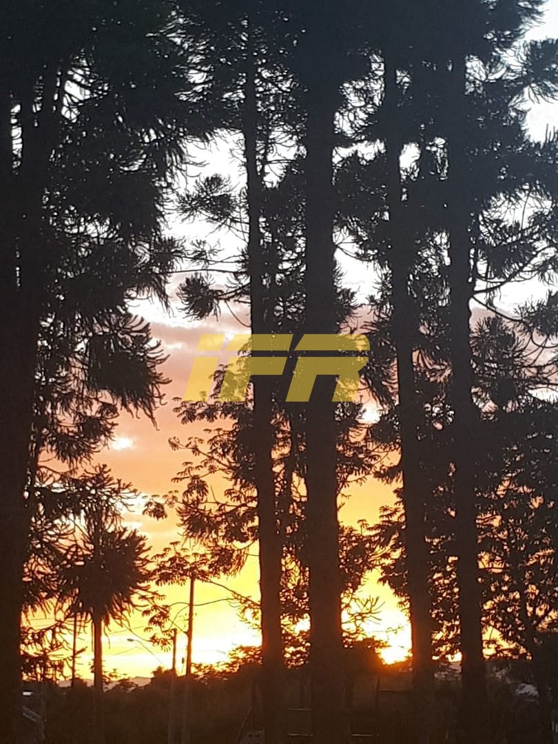 Terreno, 300 m² - Foto 9