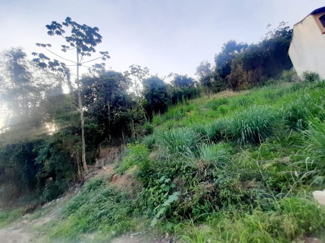 Terreno com 2020m², à venda, no bairro Tanque em Rio de Janeiro