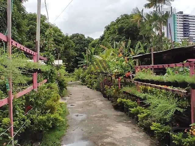 Terreno com 3000m², à venda, no bairro Umarizal em Belém