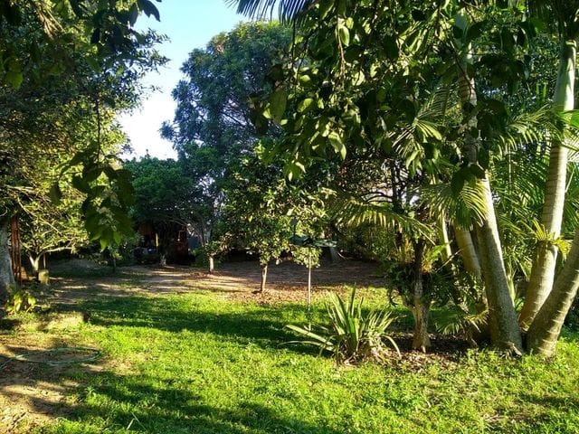 Terreno com 1248m², à venda, no bairro Pedras Brancas em Guaíba