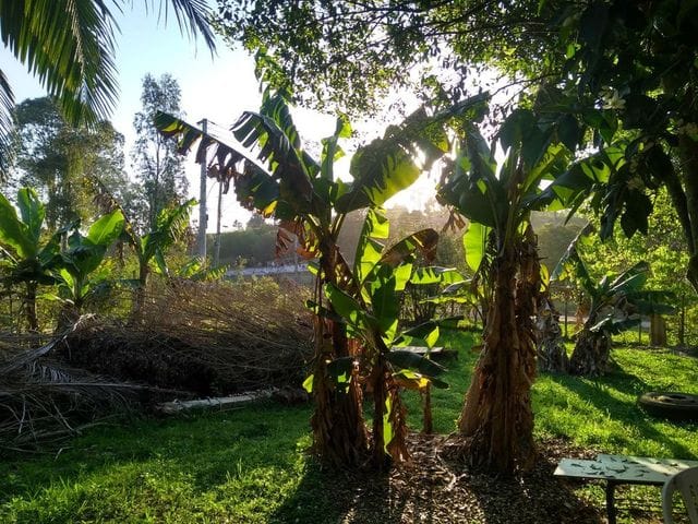 Terreno com 1248m², à venda, no bairro Pedras Brancas em Guaíba