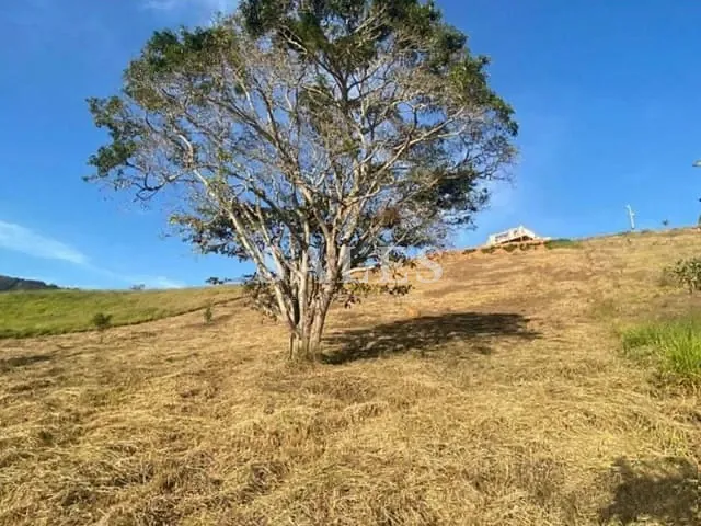 Terreno com 3000m², à venda, no bairro Salvaterra em Juiz de Fora
