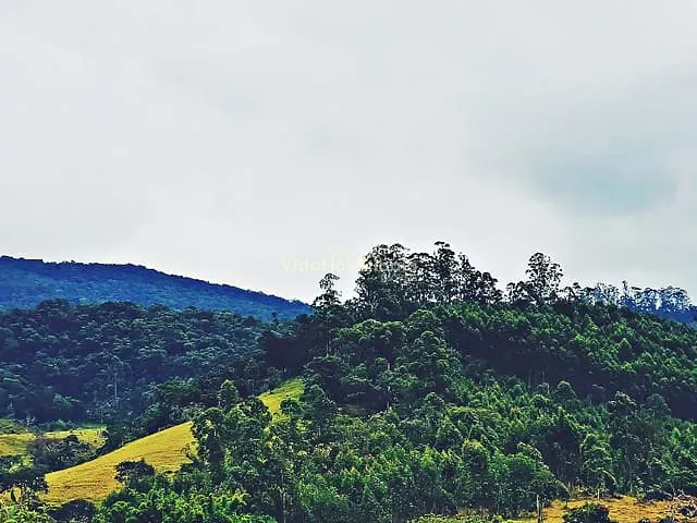 Terreno com 300m², à venda, no bairro Centro em Bom Jesus Dos Perdões