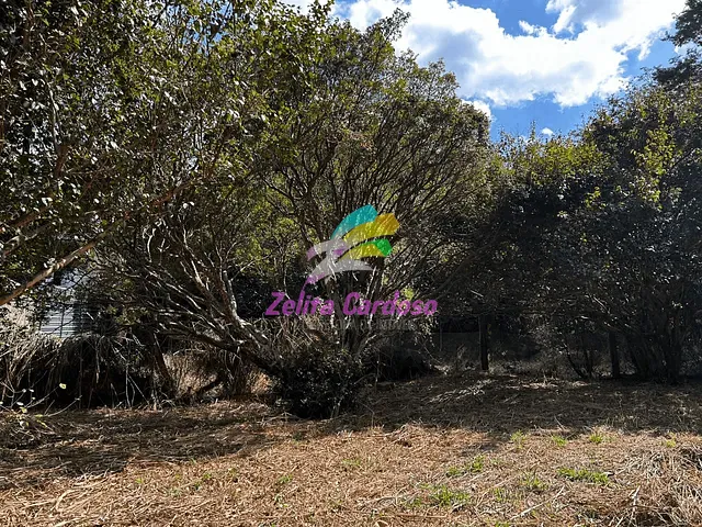 Terreno com 2016m², à venda, no bairro Condomínio Vale do Ouro em Ribeirão das Neves