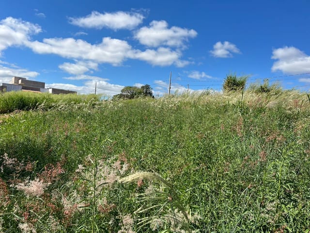 Terreno com 403m², à venda, no bairro Residencial Santa Izabel em Taubaté