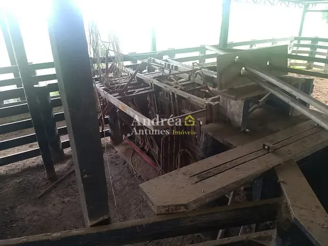Fazenda com 9000m² 6 quartos e 6 banheiros, à venda, no bairro Sena Madureira em Sena Madureira