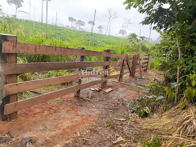Fazenda com 9000m² 6 quartos e 6 banheiros, à venda, no bairro Sena Madureira em Sena Madureira