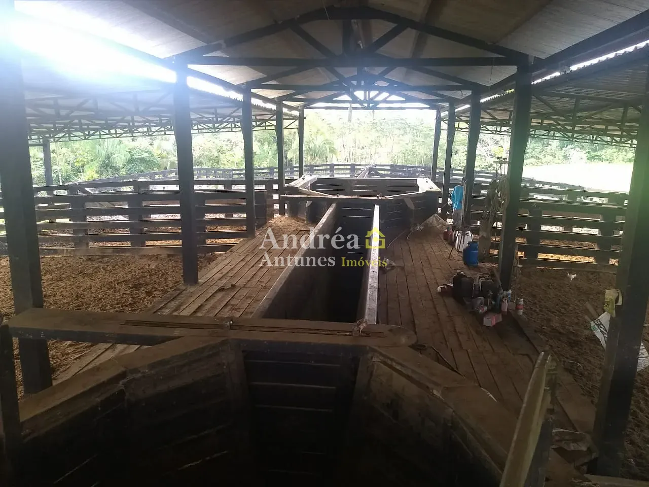 Fazenda, 9000 m² - Foto 2