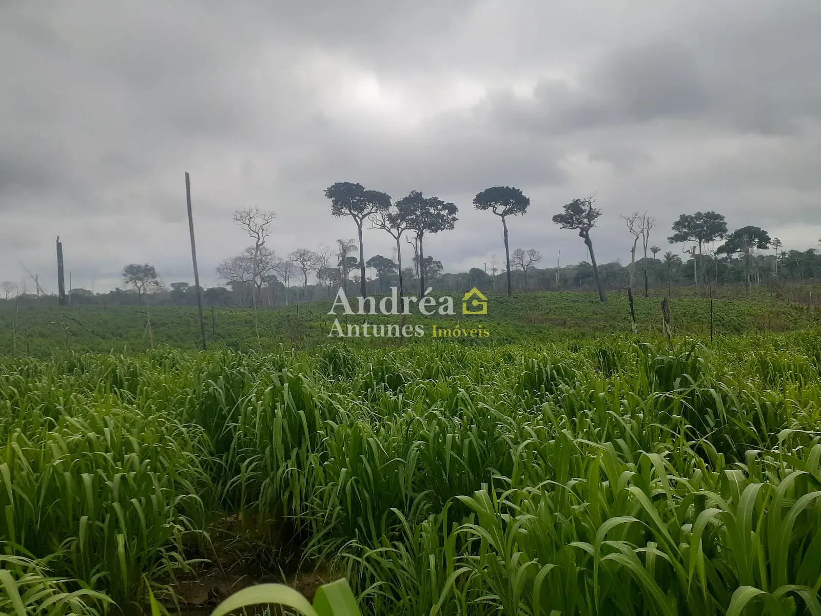 Fazenda, 9000 m² - Foto 12