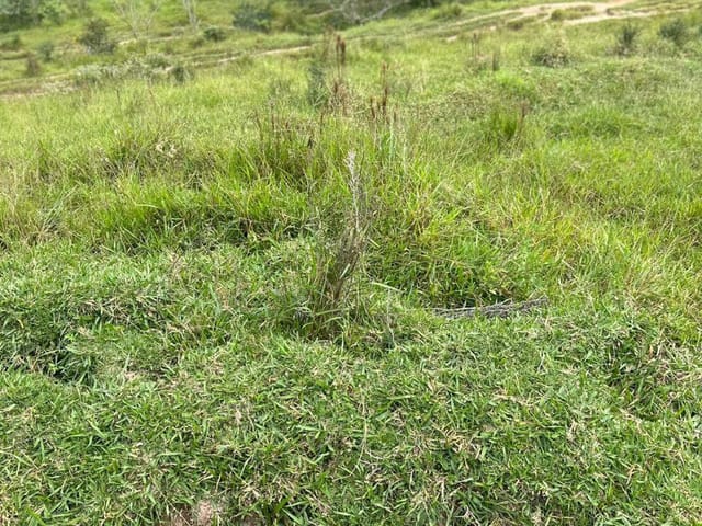Foto do Terreno - Terreno à venda, com 175 m², por R$ 120.000 - Residencial Novo Horizonte, Mogi das Cruzes, SP | Acharimóvel.net