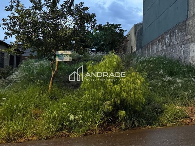 Terreno com 318m², à venda, no bairro Jardim Independencia em Apucarana