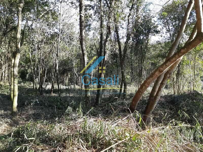 Terreno, 2226 m² - Foto 2