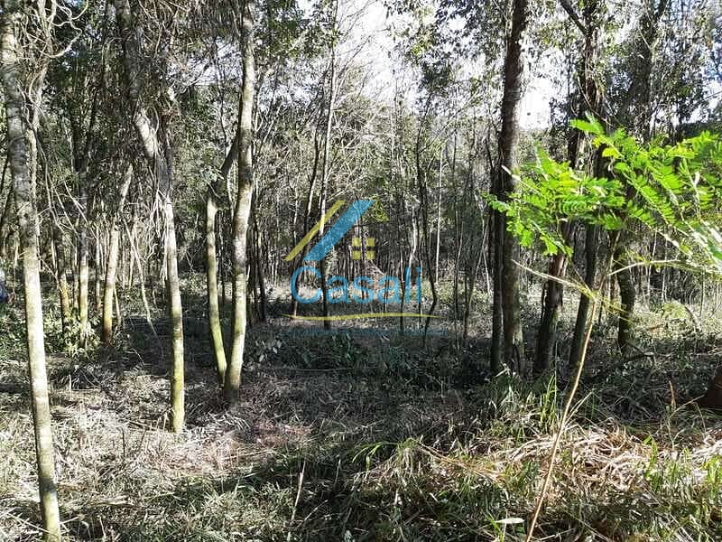 Terreno, 2226 m² - Foto 3