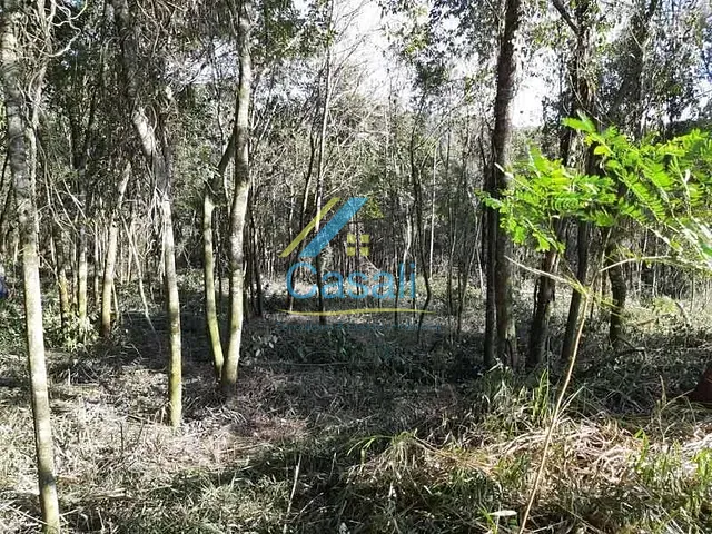 Terreno com 2226m², à venda, no bairro Saboó em São Roque
