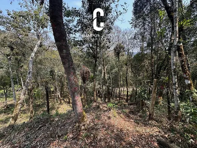 Terreno com 1870m², à venda, no bairro Atalaia em Campos Do Jordão