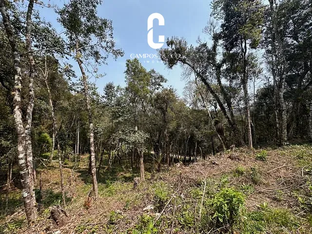Terreno com 1870m², à venda, no bairro Atalaia em Campos Do Jordão