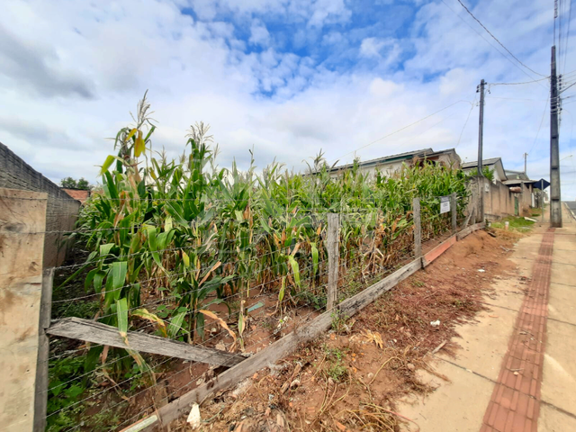 Terreno com 360m², à venda, no bairro Santa Cecília em Jaguariaíva