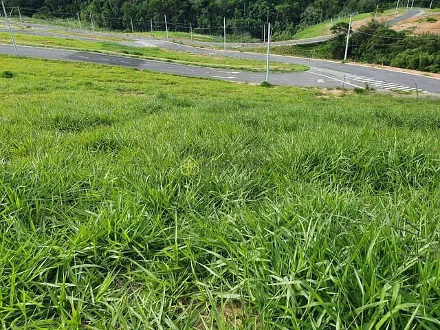 Terreno com 254m², à venda, no bairro Casa de Pedra em Volta Redonda