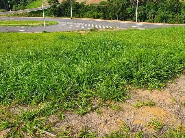 Terreno com 254m², à venda, no bairro Casa de Pedra em Volta Redonda