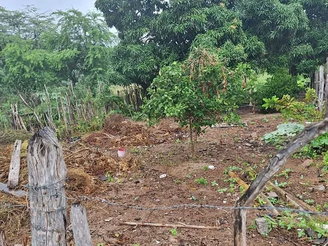Terreno com 720m², à venda, no bairro Área Rural de Paulo Afonso em Paulo Afonso