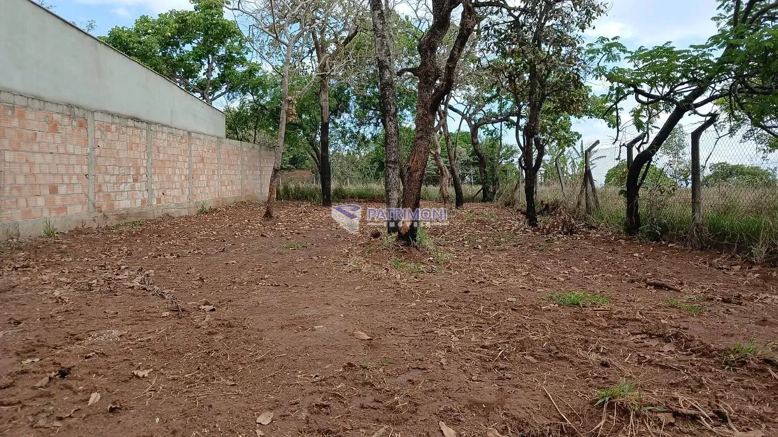 Terreno, 360 m² - Foto 4
