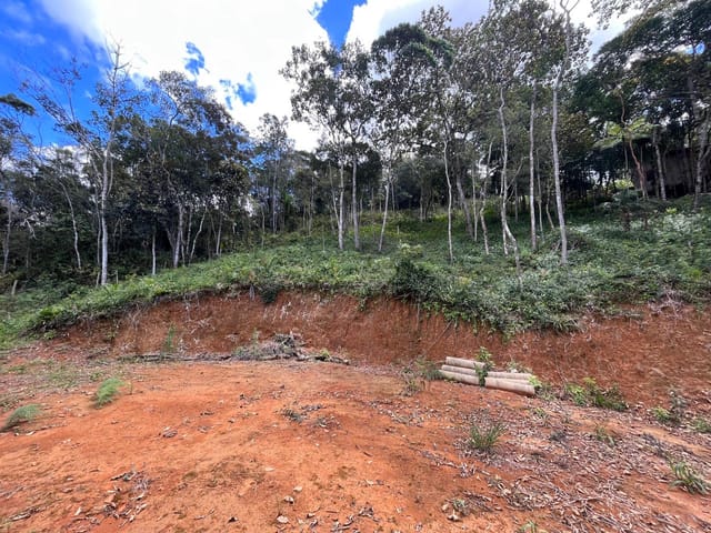 Foto do Terreno - Oportunidade!!! Terreno rural com baixissimo valor á venda no bairro, sertão do Valongo, Porto Belo, SC com ótimo acesso a BR-101. | Ruviaro Imóveis