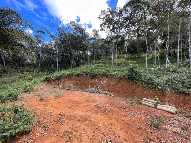 Foto do Terreno - Oportunidade!!! Terreno rural com baixissimo valor á venda no bairro, sertão do Valongo, Porto Belo, SC com ótimo acesso a BR-101. | Ruviaro Imóveis