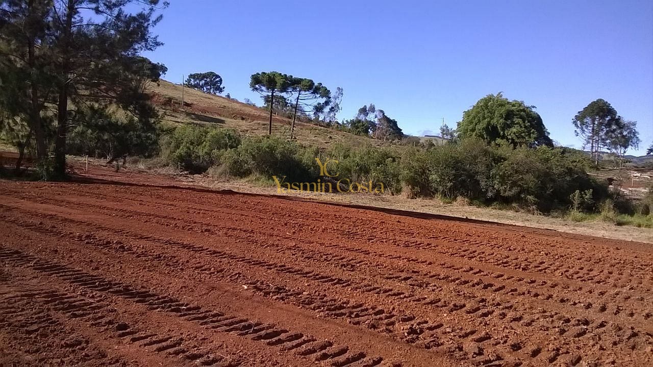 Terreno à venda, 10m² - Foto 2