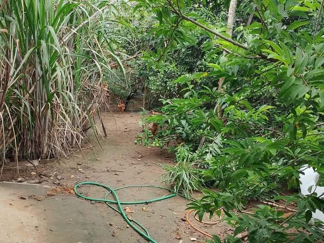 Terreno com 390m², à venda, no bairro Extensão Novo Rio das Ostras em Rio das Ostras