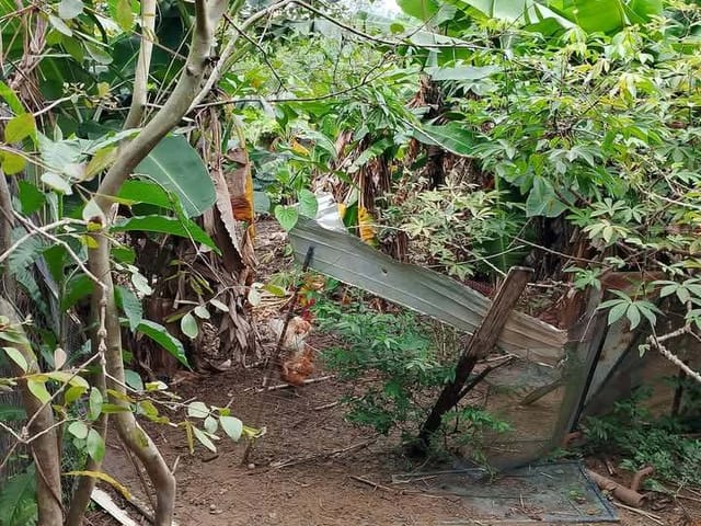 Terreno com 390m², à venda, no bairro Extensão Novo Rio das Ostras em Rio das Ostras