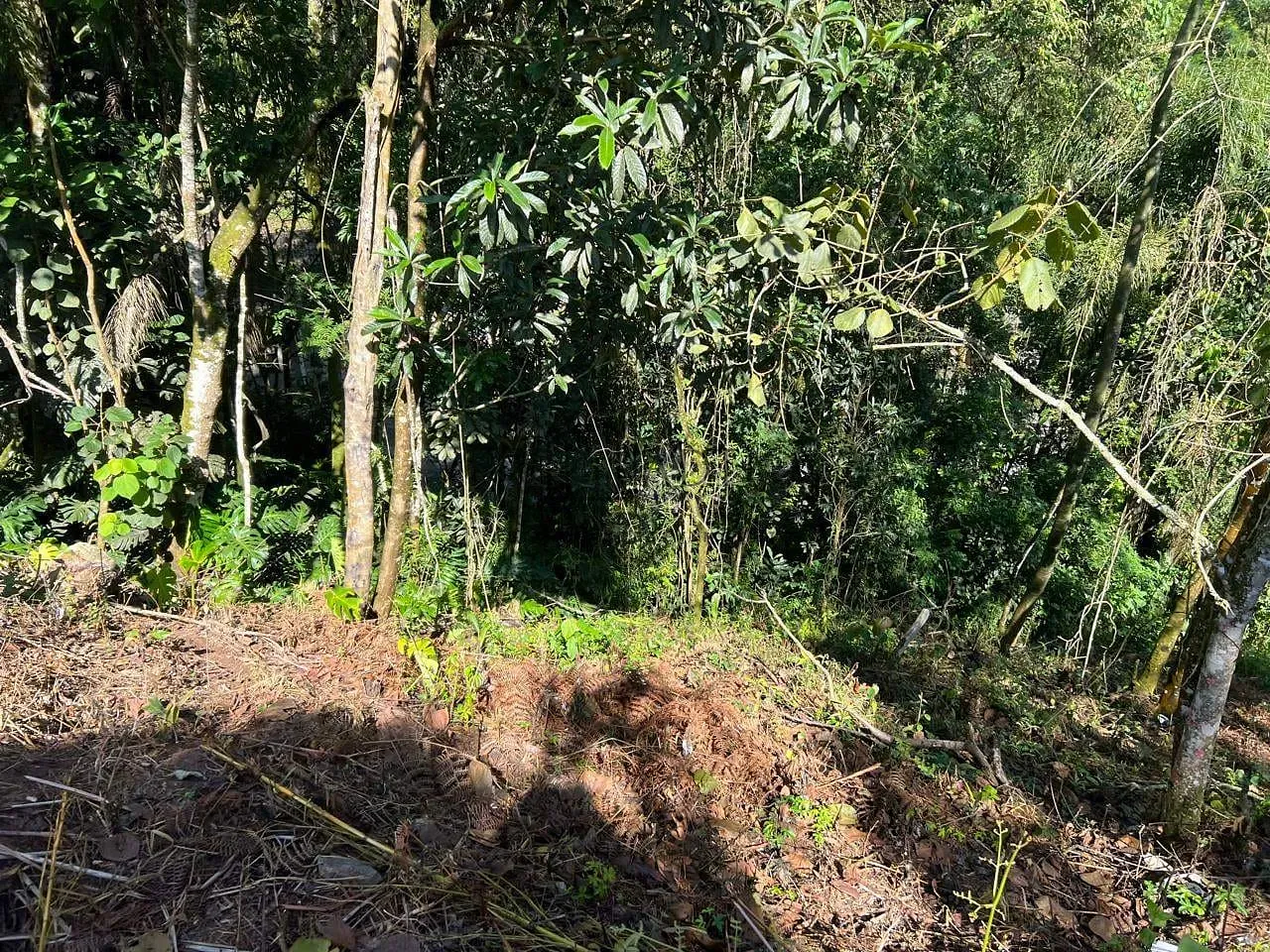 Terreno, 760 m² - Foto 8