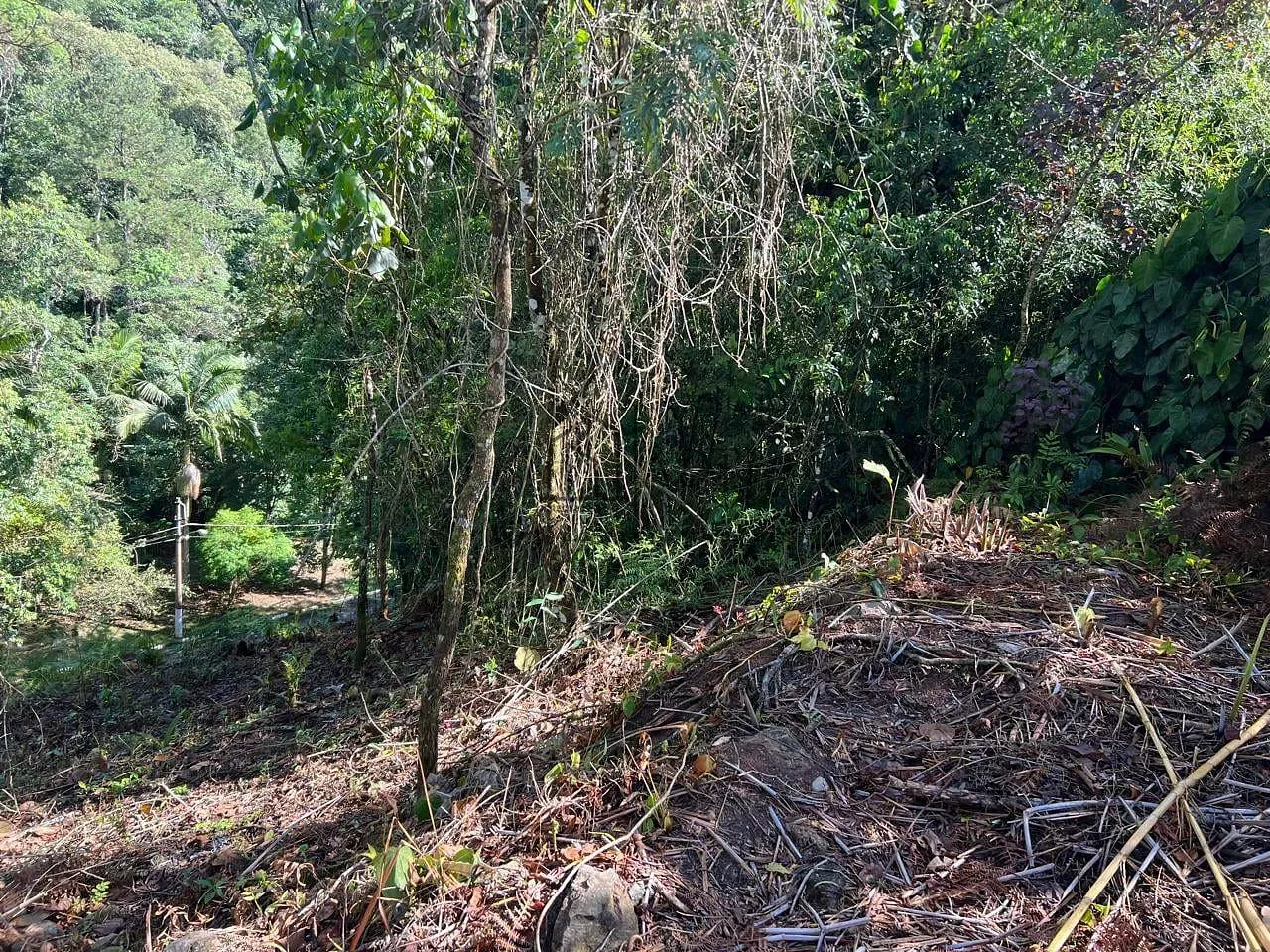 Terreno, 760 m² - Foto 11