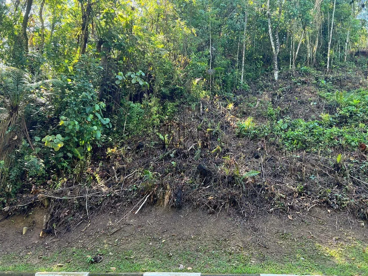 Terreno, 760 m² - Foto 15
