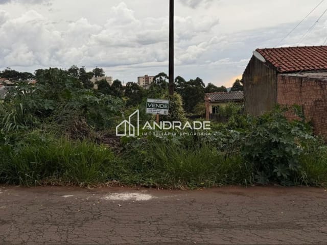 Terreno com 360m², à venda, no bairro Parque Bela Vista em Apucarana