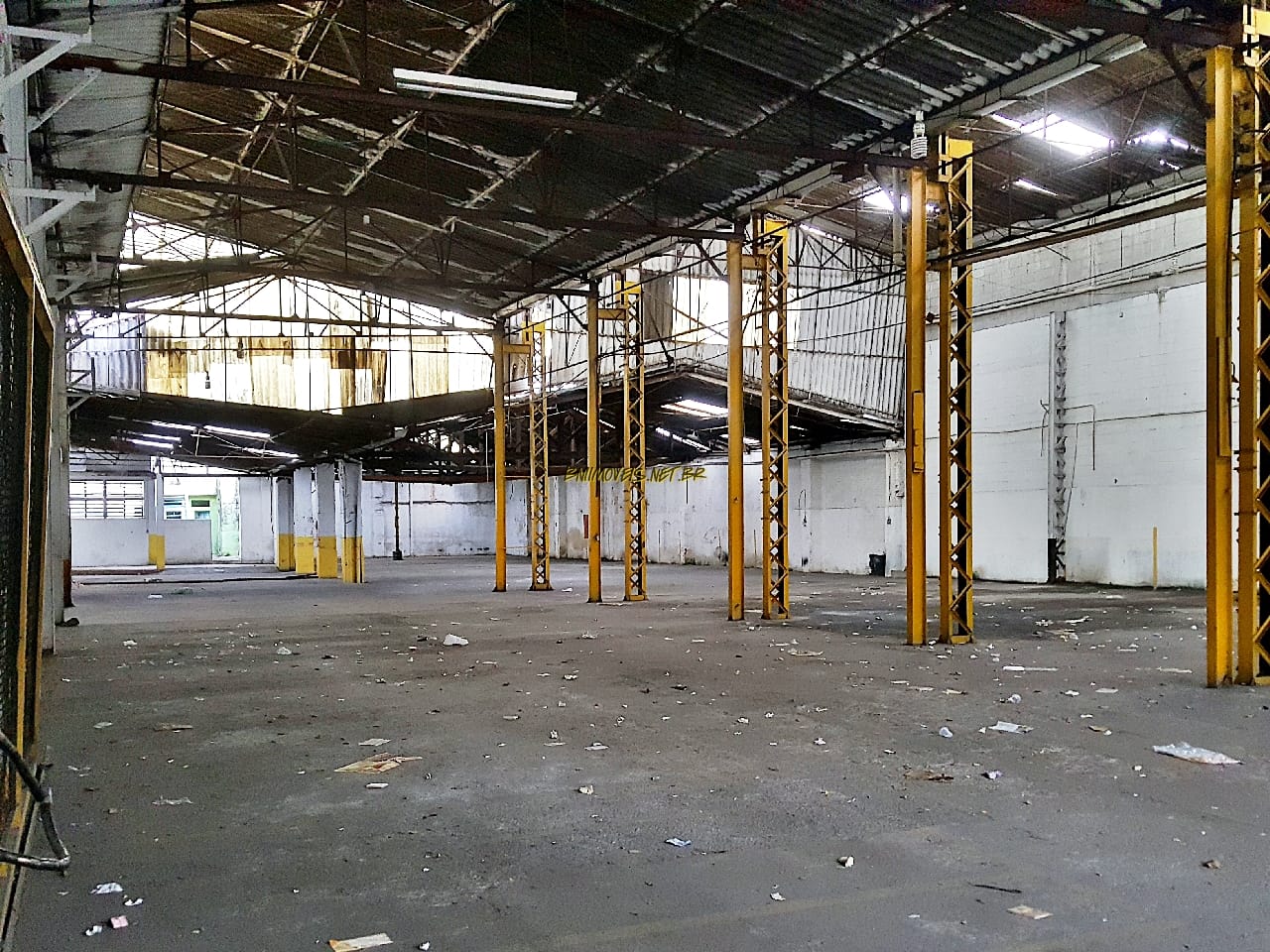 Terreno, 1300 m² - Foto 3