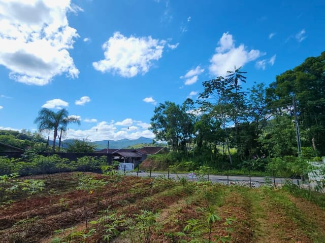 Terreno com 1129m², à venda, no bairro Centro em Pomerode