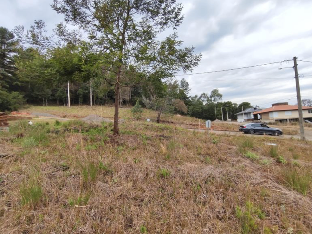 Terreno com 360m², à venda, no bairro Loteamento Vó Rosa em Nova Prata