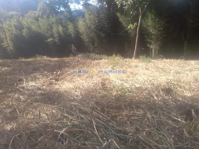 Terreno com 2652m², à venda, no bairro Itaipava em Petrópolis