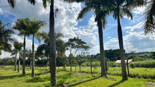 Terreno com 2030m², à venda, no bairro Gleba Fazenda Palhano em Londrina
