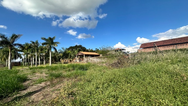 Terreno com 2030m², à venda, no bairro Gleba Fazenda Palhano em Londrina