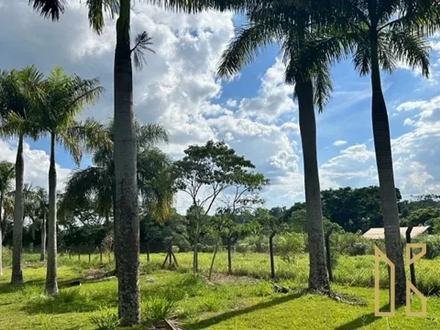 Terreno com 2030m², à venda, no bairro Gleba Fazenda Palhano em Londrina
