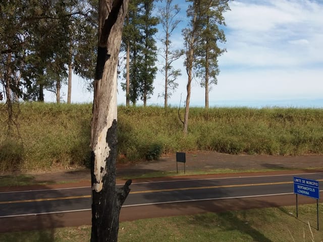 Foto do Chácara - Terreno à venda, 72.000 m² por R$ 3.180.000 - Zona Rural - Warta - Londrina/PR | Grupo Mitral Imóveis