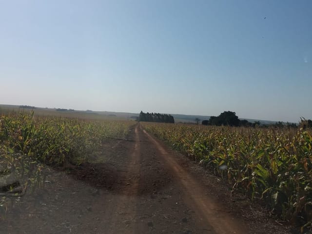Foto do Chácara - Terreno à venda, 72.000 m² por R$ 3.180.000 - Zona Rural - Warta - Londrina/PR | Grupo Mitral Imóveis